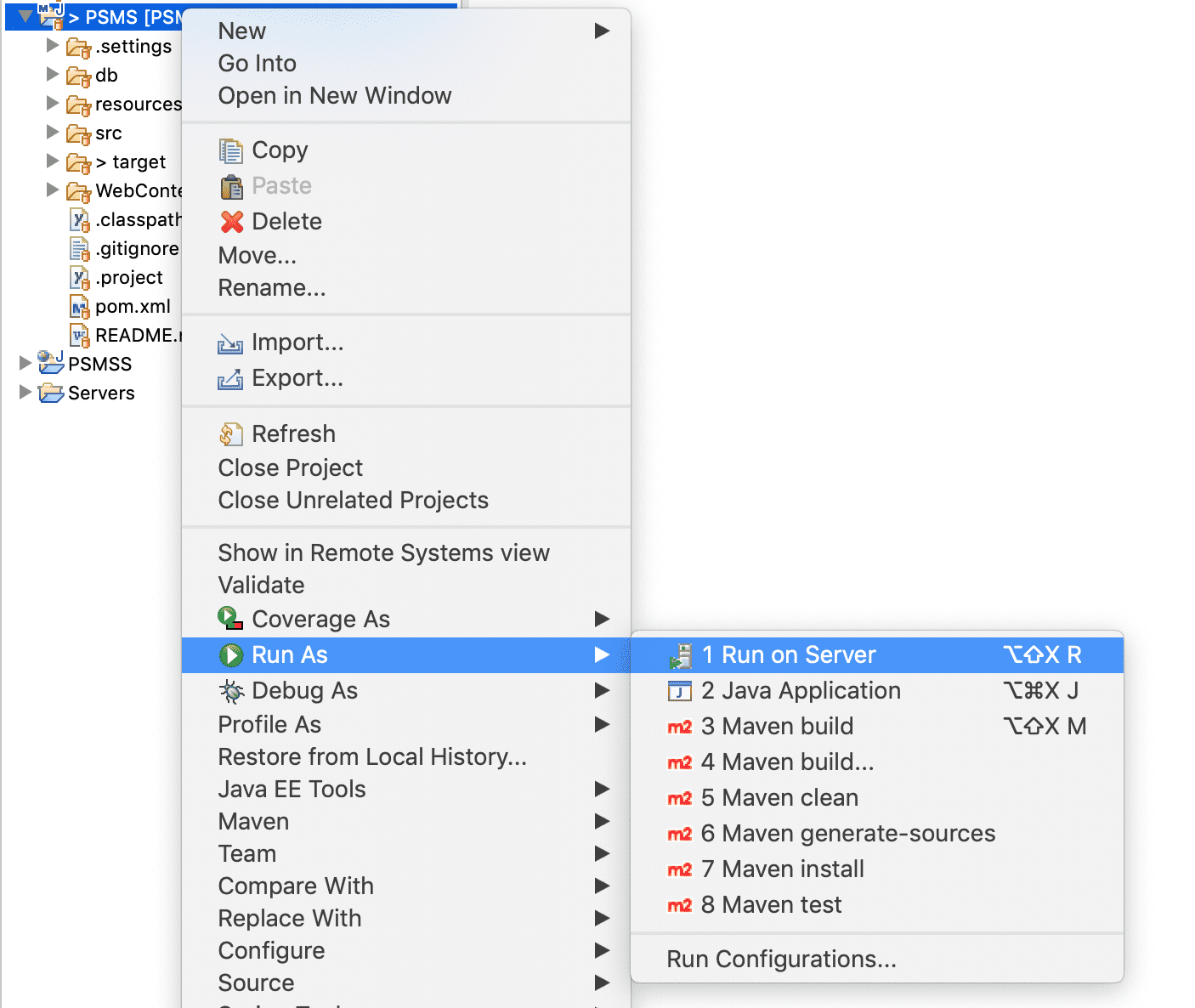 Run Project Server Image