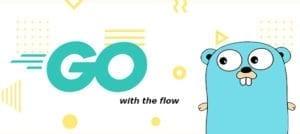 GO with the Flow image