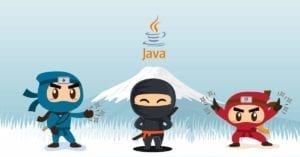 Journey to Becoming Spring Framework Ninja cover image